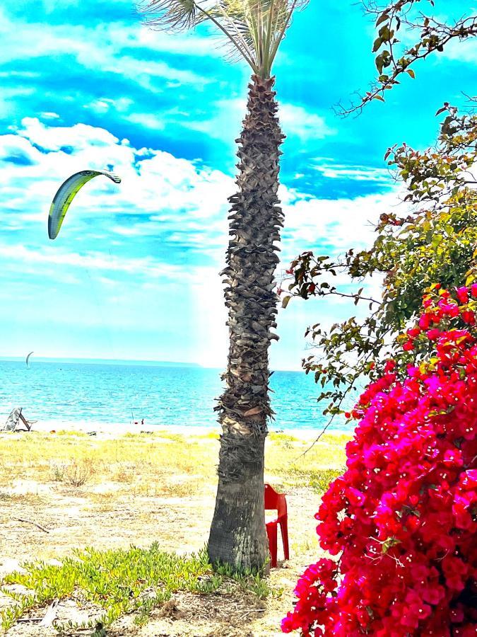 Windsurf Beach Front 托里格兰德 外观 照片