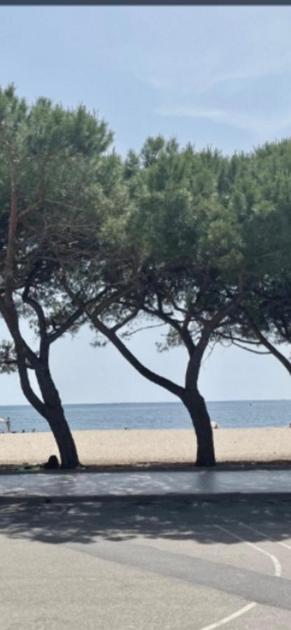 Windsurf Beach Front 托里格兰德 外观 照片