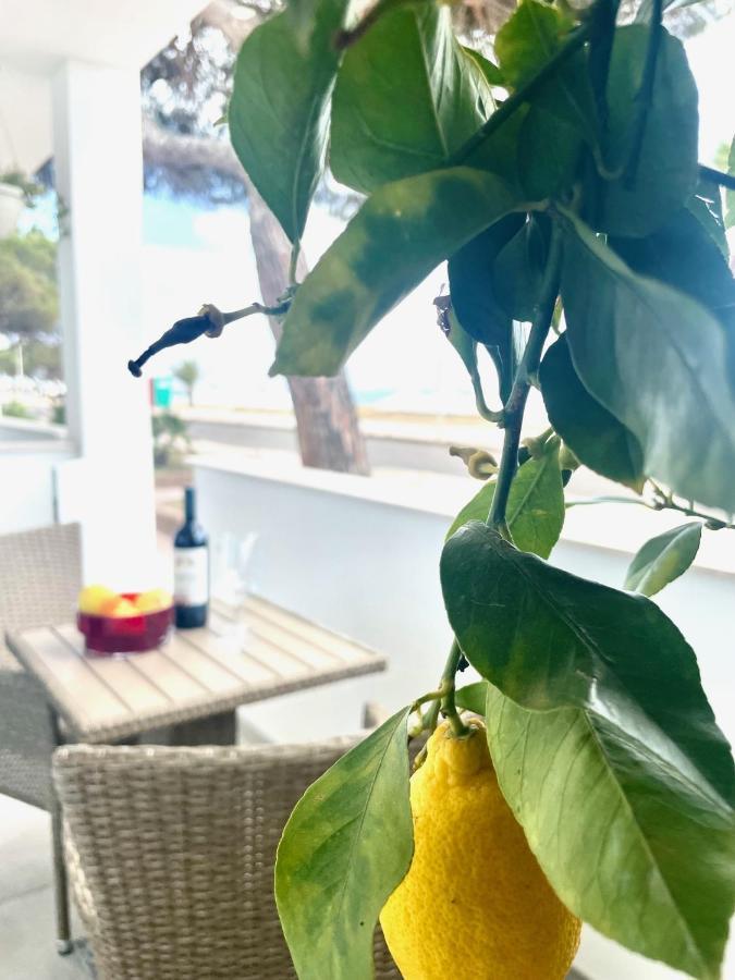 Windsurf Beach Front 托里格兰德 外观 照片