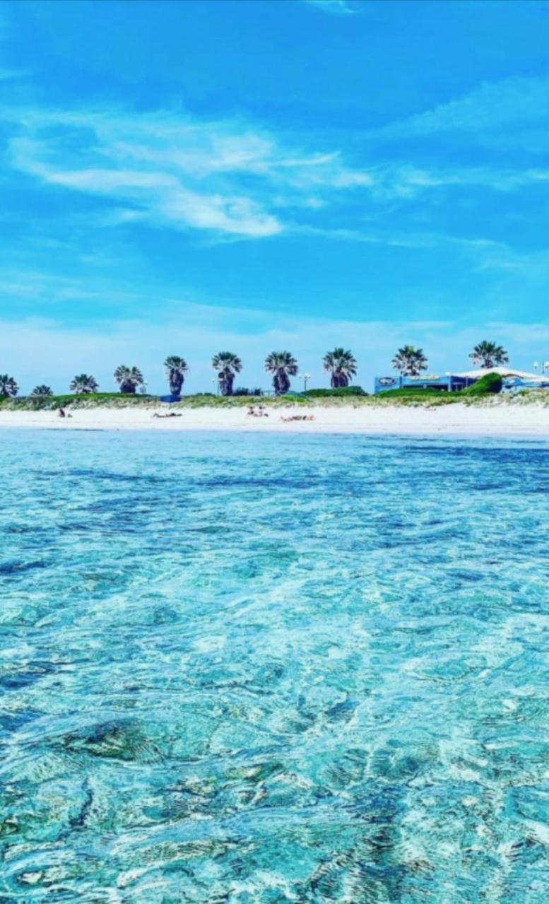 Windsurf Beach Front 托里格兰德 外观 照片